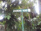 Diamond Road, Kingston / St. Andrew, Jamaica - Residential lot for Sale